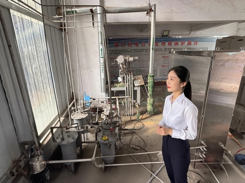 電廠鍋爐水質(zhì)安裝現(xiàn)場